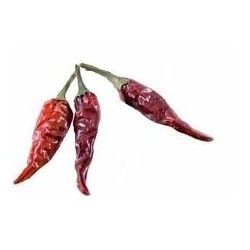 PEPERONCINO INTERO KG1                 0